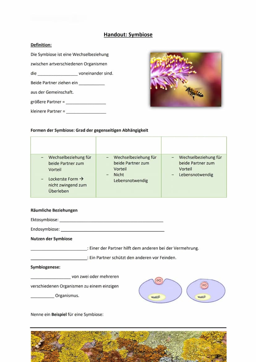 Symbiose Definition:
Die Symbiose ist eine Wechselbeziehung
zwischen artverschiedenen Organismen
voneinander sind.
die
Beide Partner ziehen 