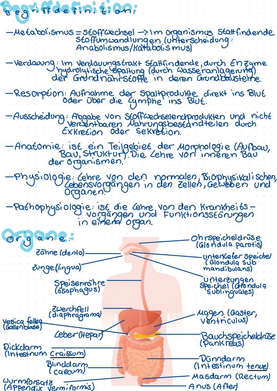 Begriffdefinition:
-Metabolismus = Stoffwechsel -> 1m organismus stattfindende
Stoffumwandlungen (unterscheidung:
Anabolismus/katabolismus)
