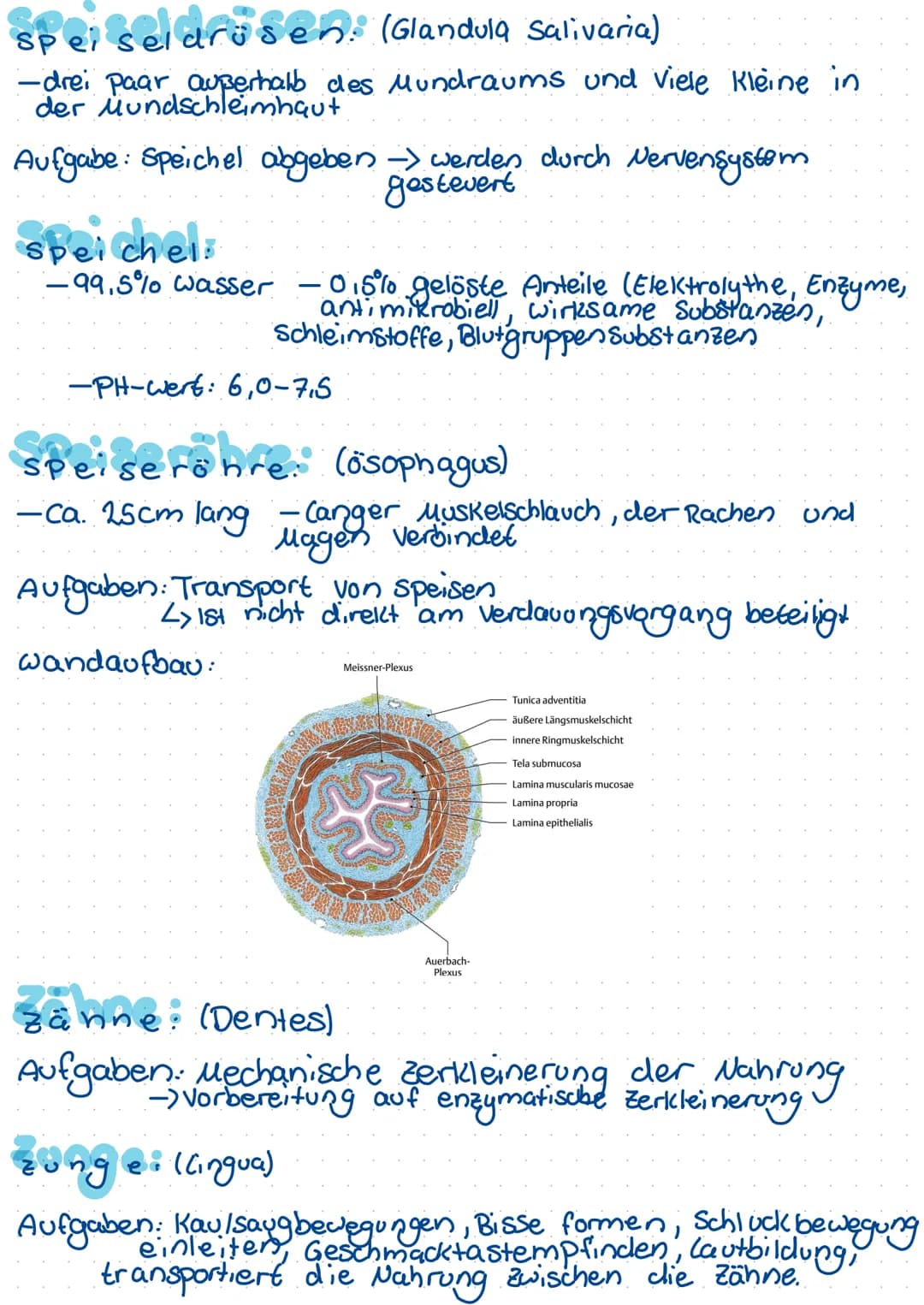 Begriffdefinition:
-Metabolismus = Stoffwechsel -> 1m organismus stattfindende
Stoffumwandlungen (unterscheidung:
Anabolismus/katabolismus)
