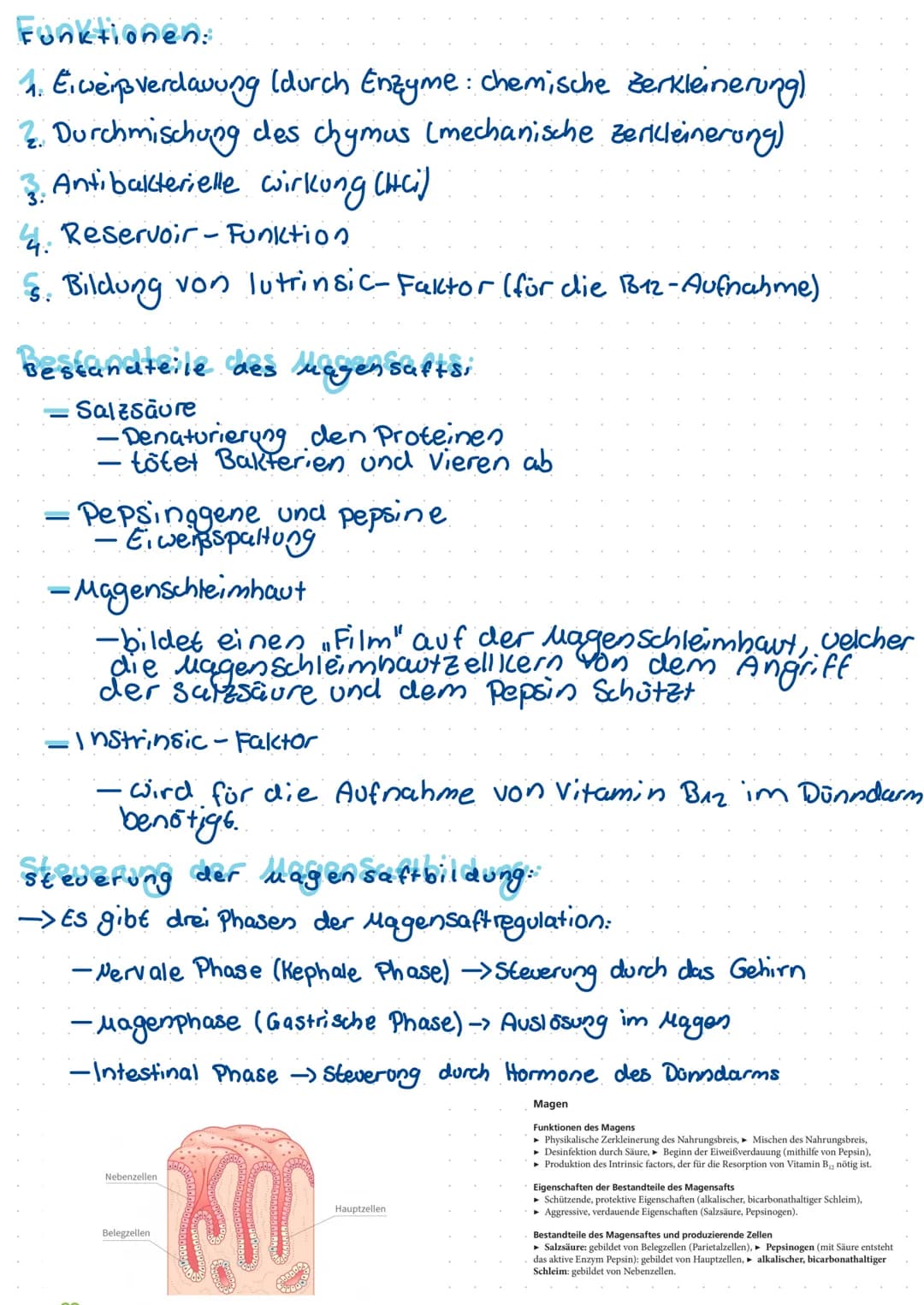 Begriffdefinition:
-Metabolismus = Stoffwechsel -> 1m organismus stattfindende
Stoffumwandlungen (unterscheidung:
Anabolismus/katabolismus)
