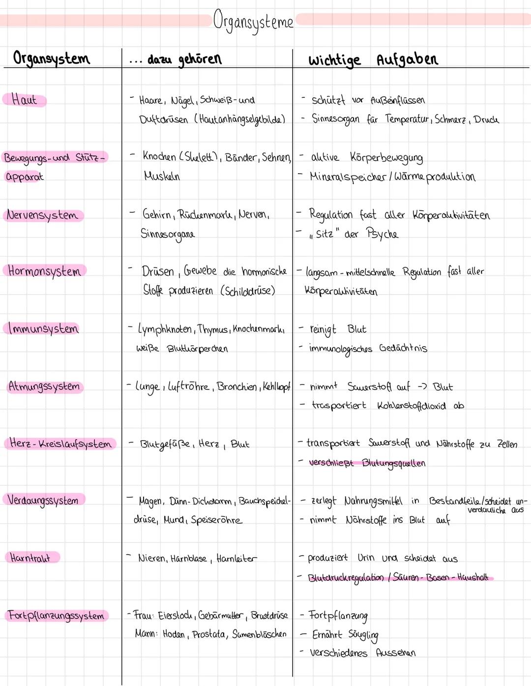 QUESTION
(S
C
= Osophages
(2) = Larynx
(3) Trachea
= Pulmo
= Cor
@
12
11
(13)
au
= Hepar
=
ANSWER
(Speißeröhre)
скепскорт)
(Luftröhre)
Lien
