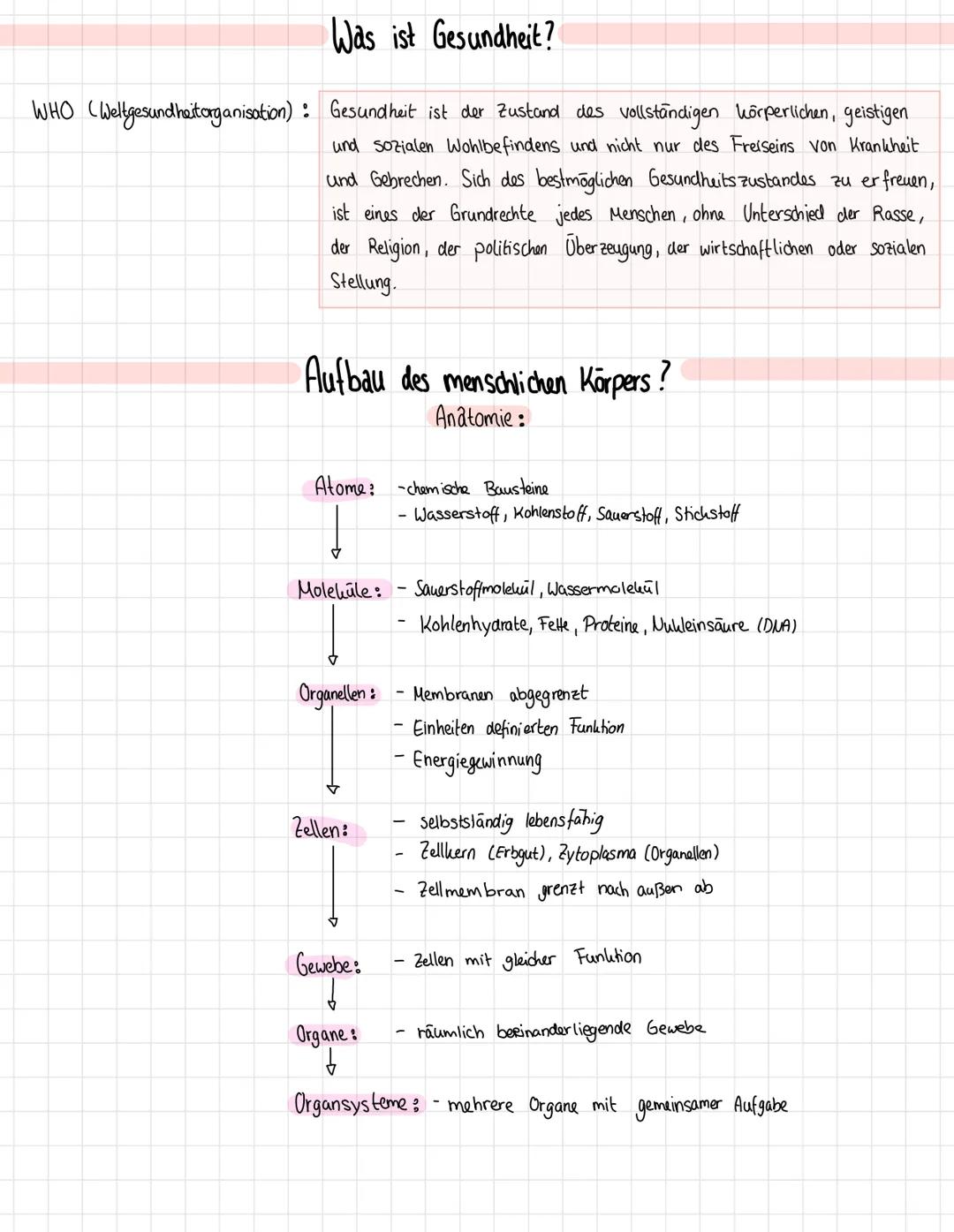 QUESTION
(S
C
= Osophages
(2) = Larynx
(3) Trachea
= Pulmo
= Cor
@
12
11
(13)
au
= Hepar
=
ANSWER
(Speißeröhre)
скепскорт)
(Luftröhre)
Lien
