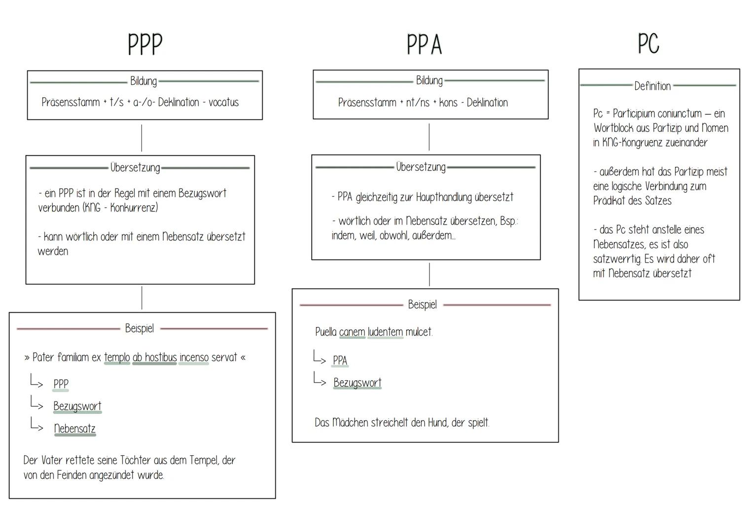 PPP
Bildung
Präsensstamm + t/s + a-/o- Deklination - vocatus
-Übersetzung-
- ein PPP ist in der Regel mit einem Bezugswort
verbunden (KNG - 