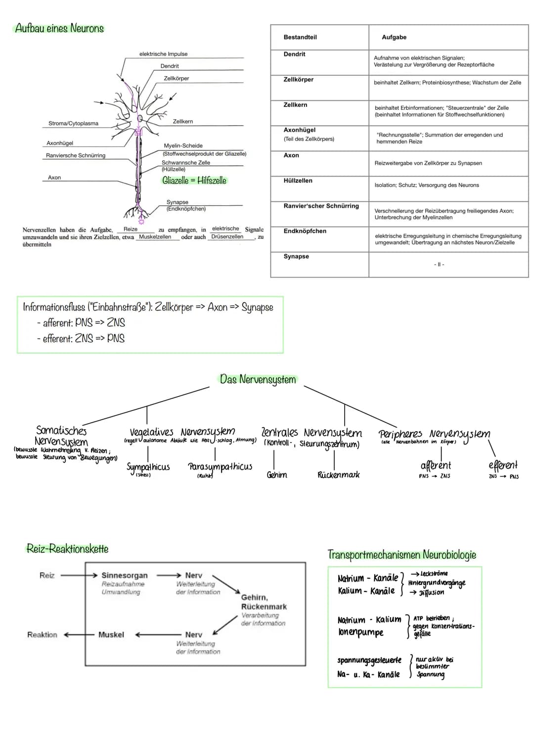 Inhalte Klausur II GK 11.2 Biologie
Inhalte
Generelles Basiswissen: Aufbau der Zellmembran, mögliche Transportvorgänge durch
Zellmembranen, 