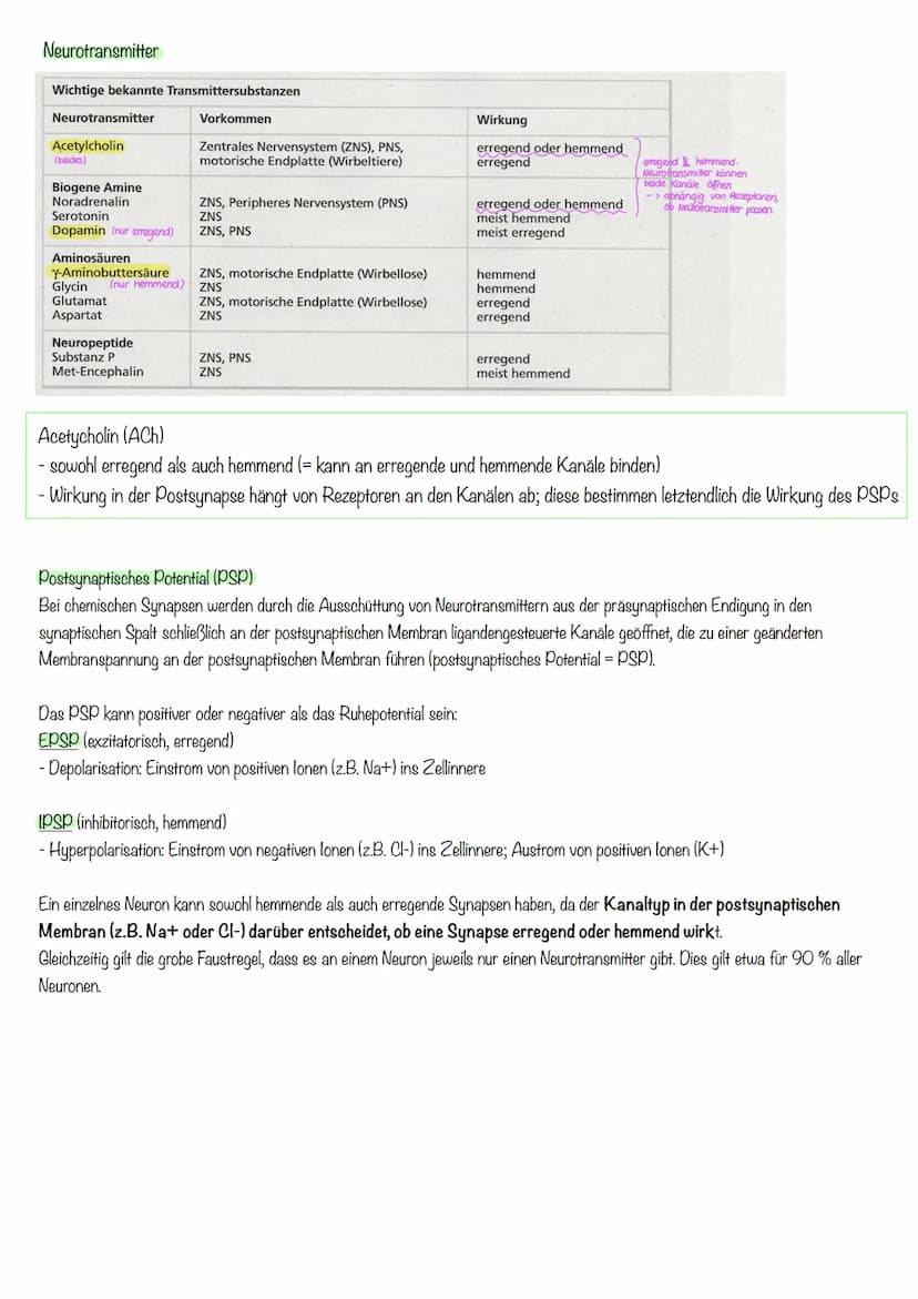 Inhalte Klausur II GK 11.2 Biologie
Inhalte
Generelles Basiswissen: Aufbau der Zellmembran, mögliche Transportvorgänge durch
Zellmembranen, 