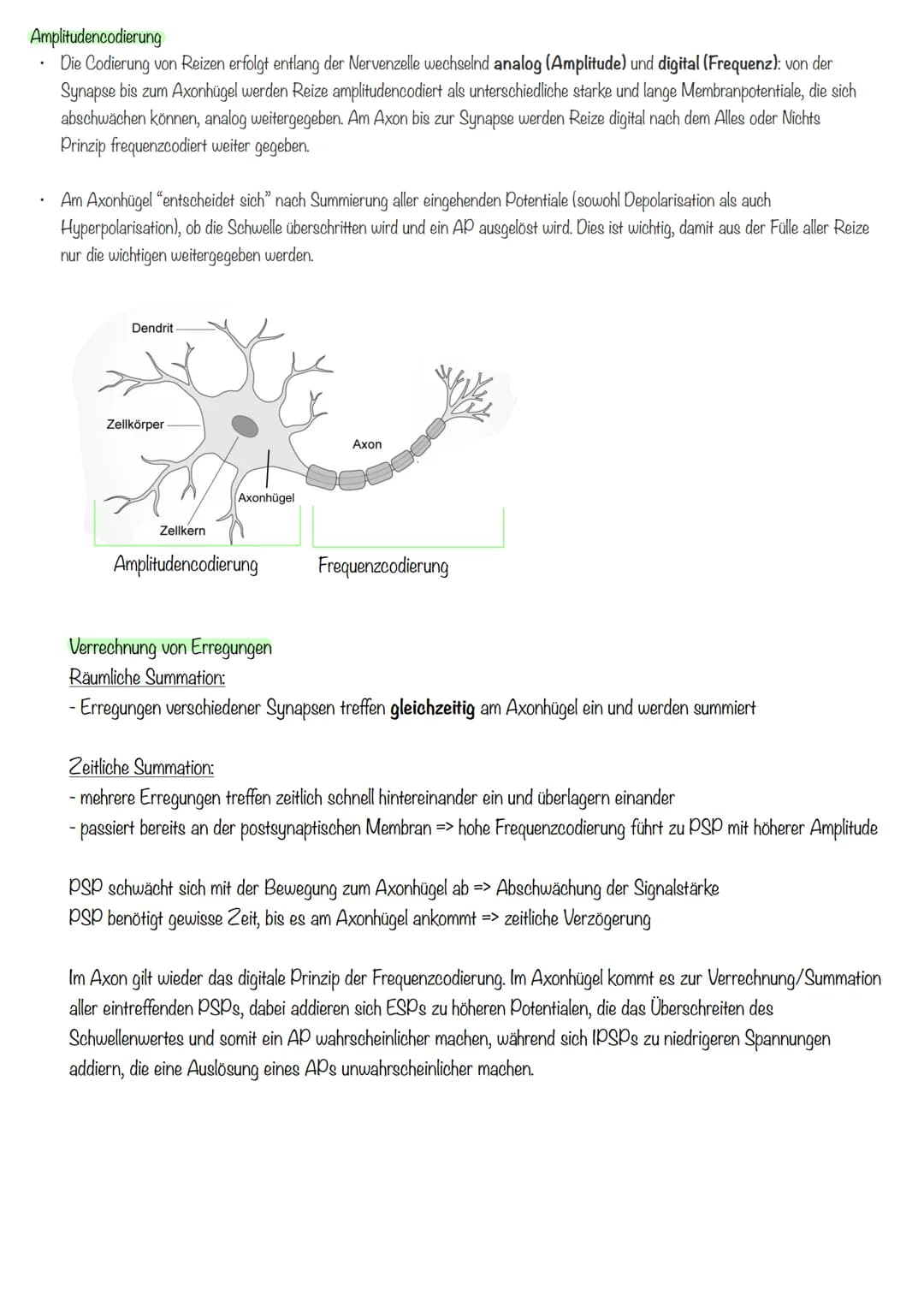 Inhalte Klausur II GK 11.2 Biologie
Inhalte
Generelles Basiswissen: Aufbau der Zellmembran, mögliche Transportvorgänge durch
Zellmembranen, 