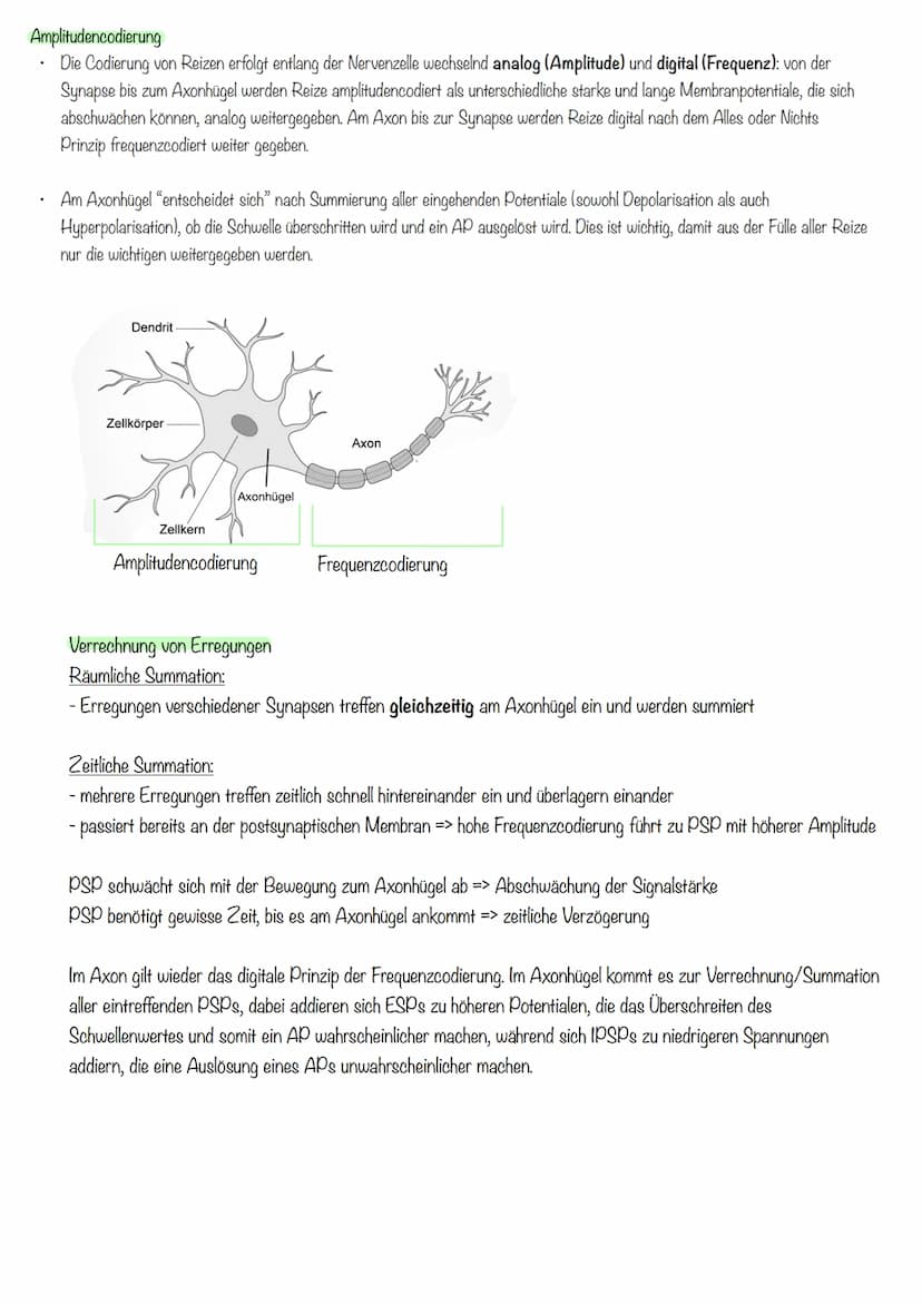 Inhalte Klausur II GK 11.2 Biologie
Inhalte
Generelles Basiswissen: Aufbau der Zellmembran, mögliche Transportvorgänge durch
Zellmembranen, 