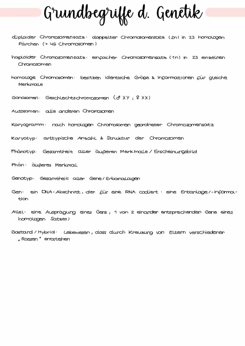 1. Grundbegriffe der Genetik
HUMANGENETIK
2. Zellzyklus & Mitose
3. Mejose
4. Stammbaumanalyse
→ Vererbungsgänge
Biologie
Klausur Genetik
5.