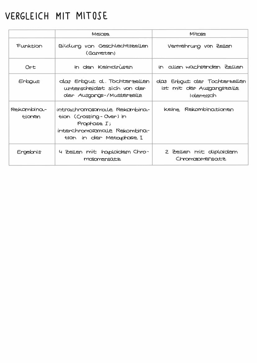 1. Grundbegriffe der Genetik
HUMANGENETIK
2. Zellzyklus & Mitose
3. Mejose
4. Stammbaumanalyse
→ Vererbungsgänge
Biologie
Klausur Genetik
5.