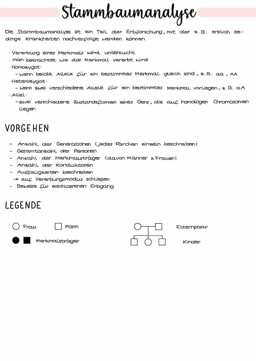 1. Grundbegriffe der Genetik
HUMANGENETIK
2. Zellzyklus & Mitose
3. Mejose
4. Stammbaumanalyse
→ Vererbungsgänge
Biologie
Klausur Genetik
5.