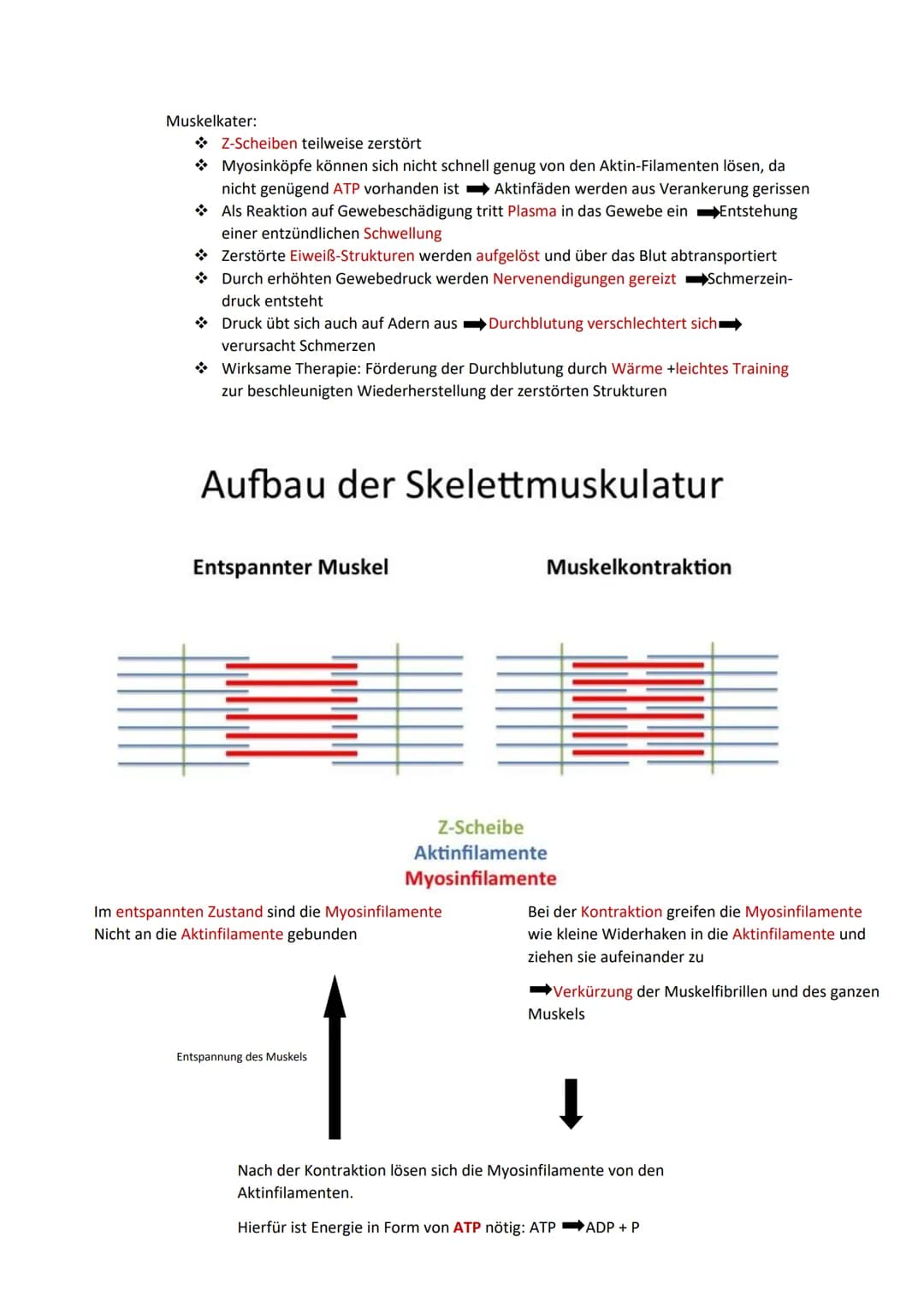 Lernliste NWT KA.3
1.Bioteil
a)Pflanzenbewegung
Tropismen und Nastien
Bewegungsablauf
Unterscheidungskriterium
Ursache
Bsp.
Tropismen
Bewegu