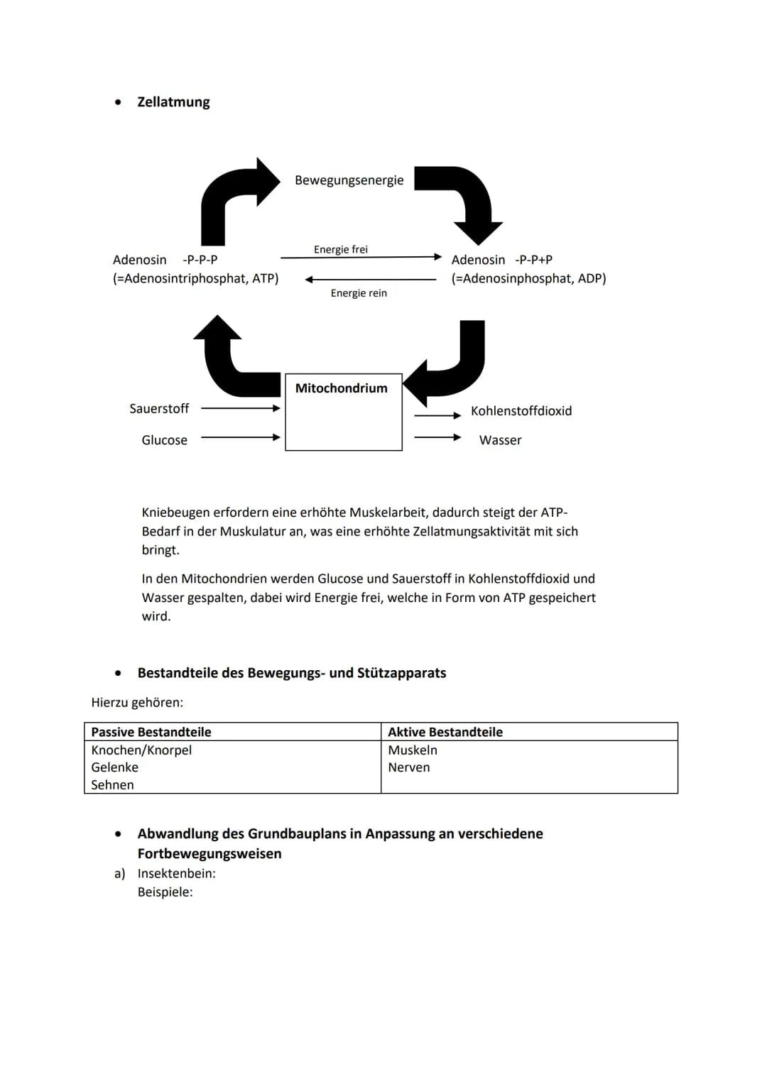 Lernliste NWT KA.3
1.Bioteil
a)Pflanzenbewegung
Tropismen und Nastien
Bewegungsablauf
Unterscheidungskriterium
Ursache
Bsp.
Tropismen
Bewegu