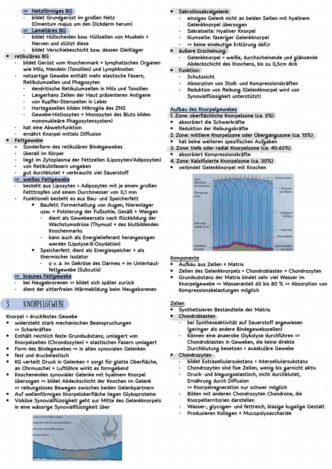 GEWEBEARTEN
=
●
●
Zusammenfassung Mündliche Prüfung Histologie
●
•
•
EPITHELGEWEBE
Textus epithelialis = Deckgewebe, flächenhafte
Zellverbän