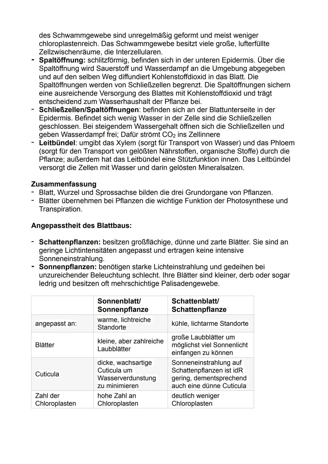 # Fotosynthese:

Bedeutung der Fotosynthese:

- Pflanzen und Prokaryoten können Biomasse, energiereiche organische
Substanzen, aus energiear