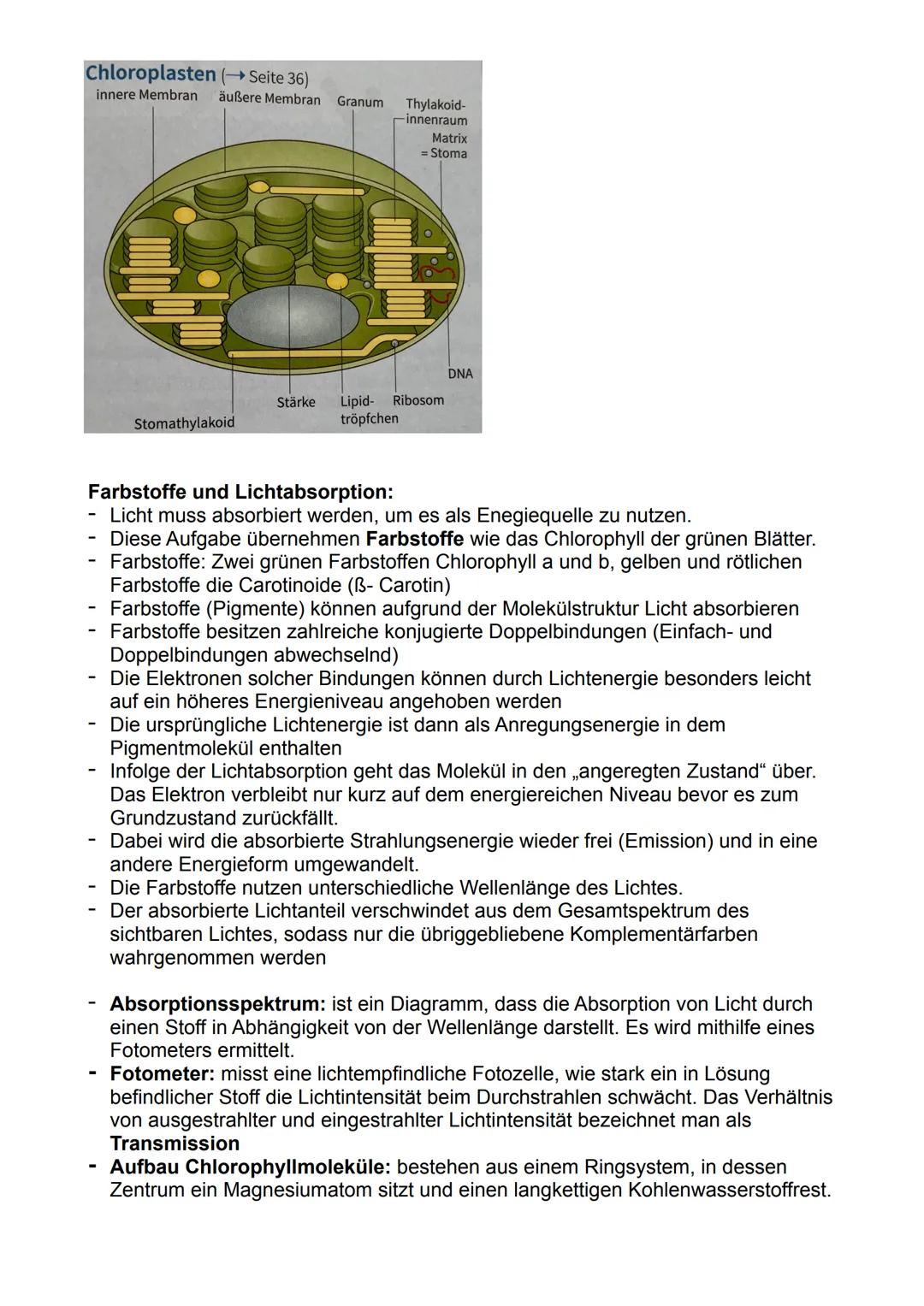 # Fotosynthese:

Bedeutung der Fotosynthese:

- Pflanzen und Prokaryoten können Biomasse, energiereiche organische
Substanzen, aus energiear