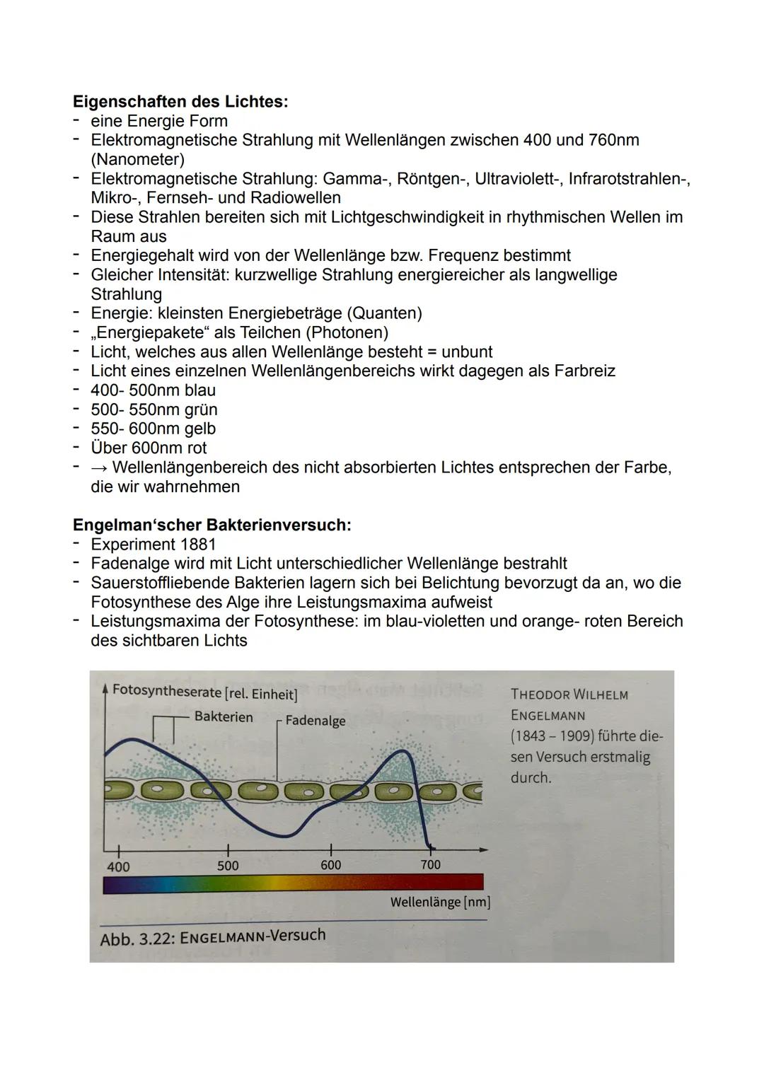 # Fotosynthese:

Bedeutung der Fotosynthese:

- Pflanzen und Prokaryoten können Biomasse, energiereiche organische
Substanzen, aus energiear