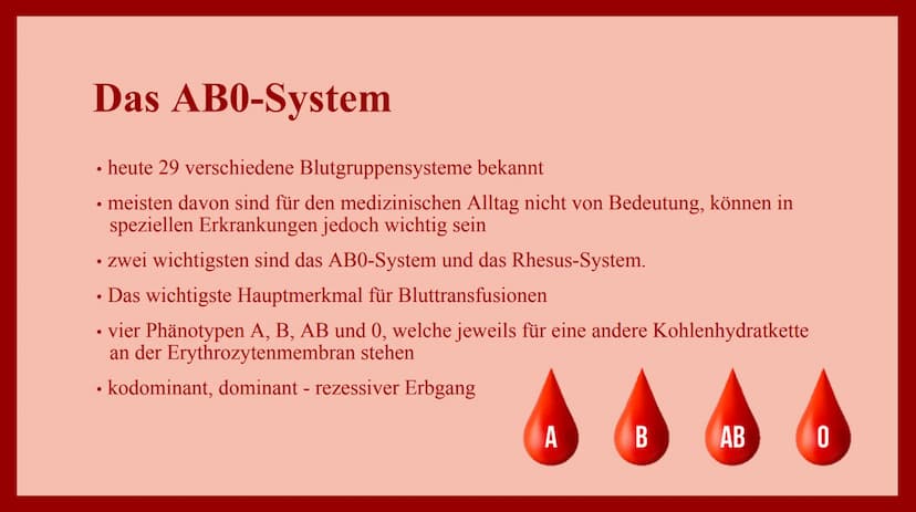 VERERBUNG DER
BLUTGRUPPEN
nach den Mendelschen Regeln 1. Das Blut und dessen Zusammensetzung
• ist ein Gewebe, das aus Blutzellen und einer 