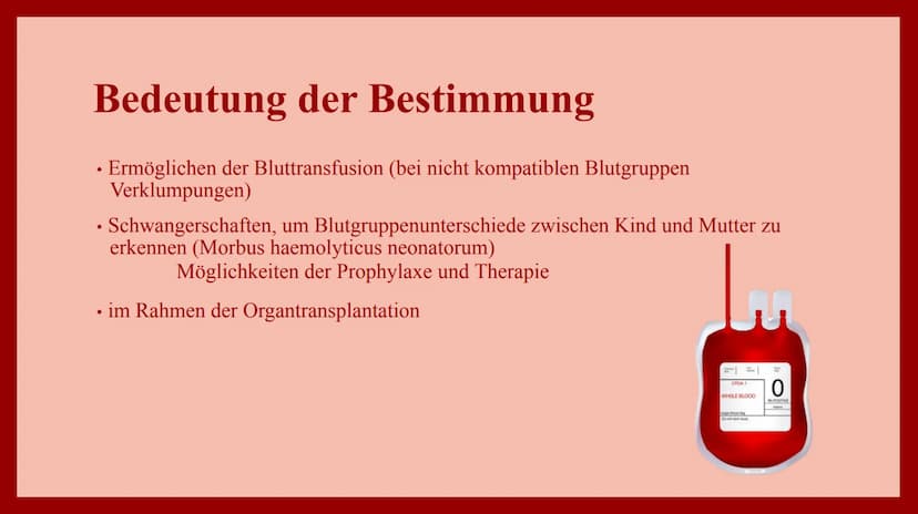 VERERBUNG DER
BLUTGRUPPEN
nach den Mendelschen Regeln 1. Das Blut und dessen Zusammensetzung
• ist ein Gewebe, das aus Blutzellen und einer 