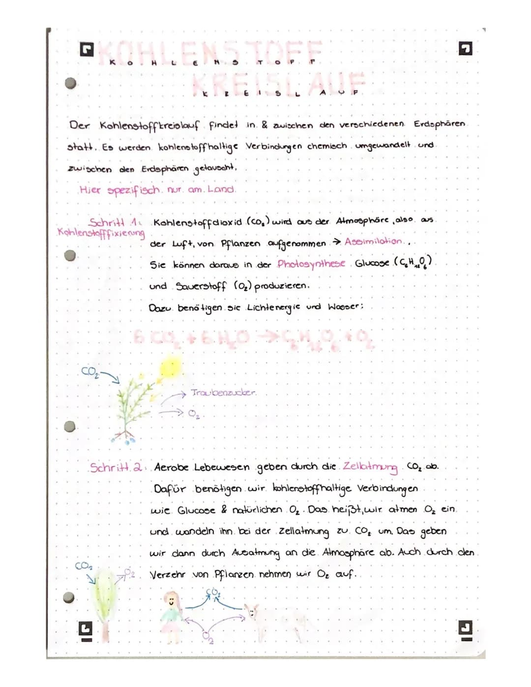 THLENSTOFF
KRE
E 1 S
P
Der Kohlenstoffkreislauf findet in & zwischen den verschiedenen Erdsphären
statt. Es werden kohlenstoffhaltige Verbin