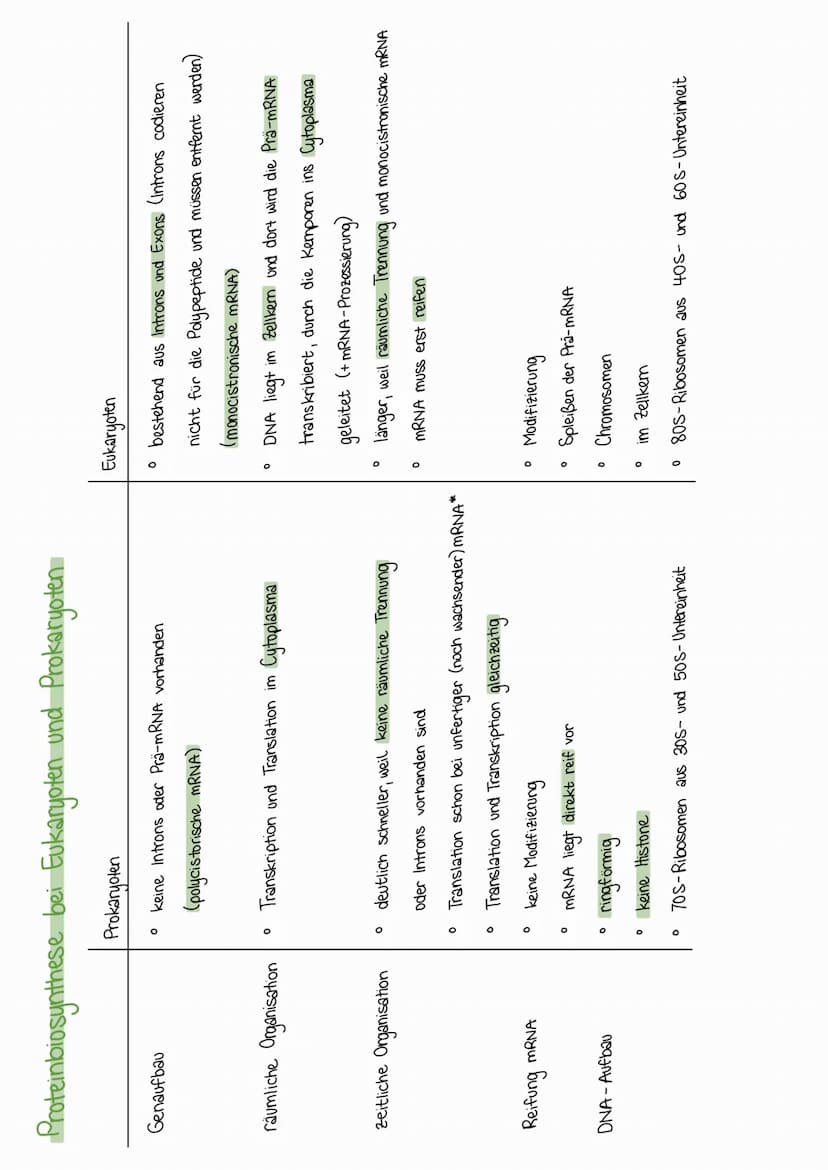 Die Proteinbiosynthese (PBS) ist die Neubildung von Proteinen in Zellen und damit der für alle Lebewesen
zentrale Prozess einer Genexpressio