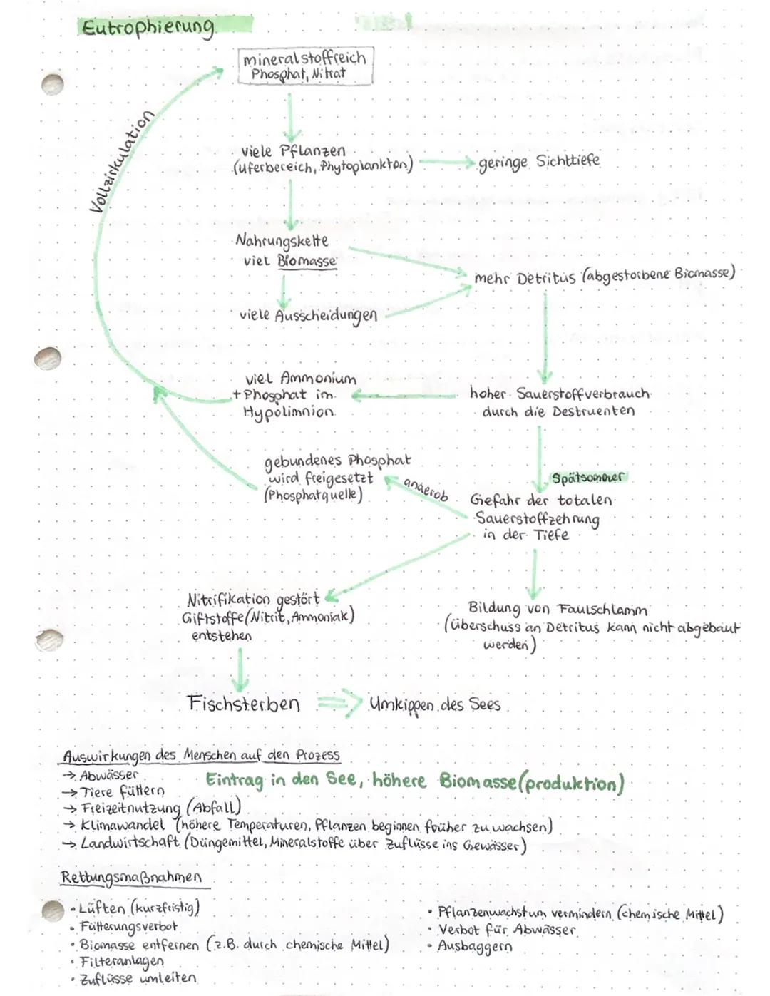 Ökosysteme (See)
Eintrag von
Stickstoffverbindungen.
im See
Stickstoffkreislauf
atmosphärischer
aerob
anaerob
Stickstoff-
fixierung
(durch
B