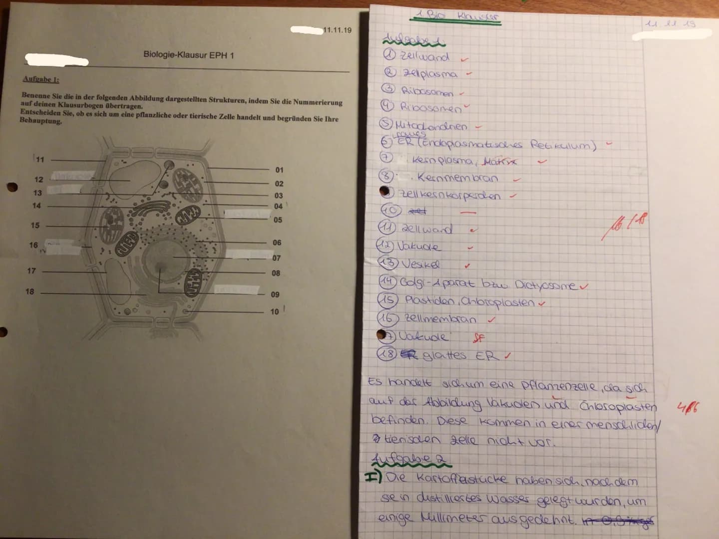 Aufgabe 1:
Benenne Sie die in der folgenden Abbildung dargestellten Strukturen, indem Sie die Nummerierung
auf deinen Klausurbogen übertrage