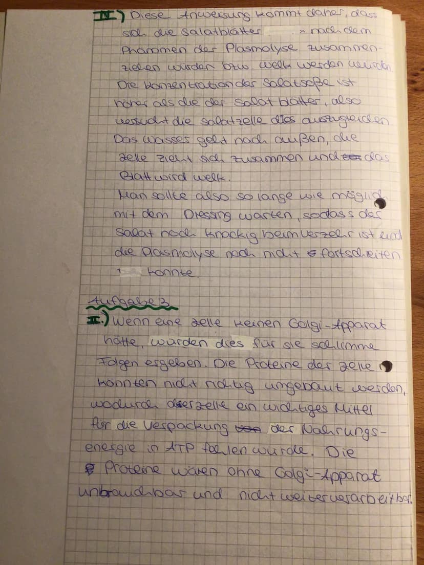 Aufgabe 1:
Benenne Sie die in der folgenden Abbildung dargestellten Strukturen, indem Sie die Nummerierung
auf deinen Klausurbogen übertrage