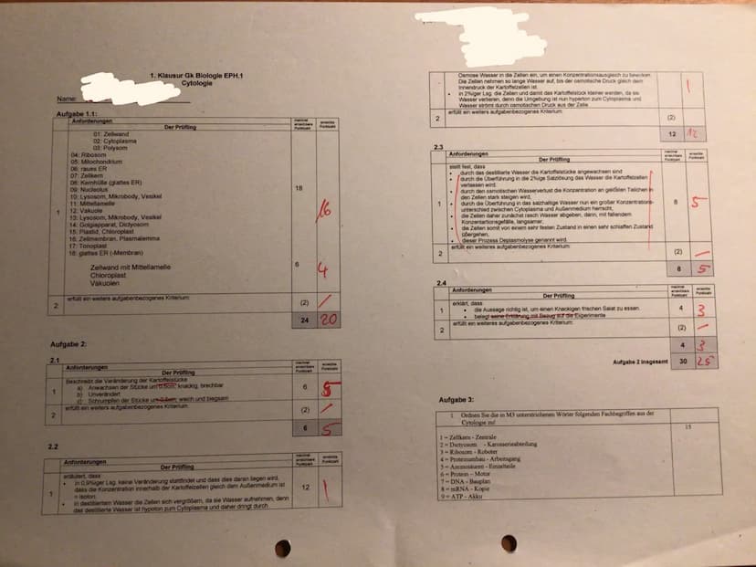 Aufgabe 1:
Benenne Sie die in der folgenden Abbildung dargestellten Strukturen, indem Sie die Nummerierung
auf deinen Klausurbogen übertrage