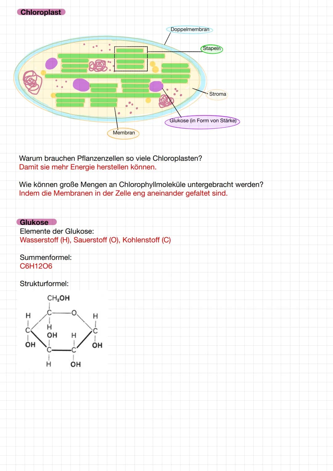 
<p>Die Systemebenen in der Biologie umfassen Atome, Moleküle, Organelle, Zellen, Gewebe, Organe, Organsysteme und den Organismus. Jede Eben
