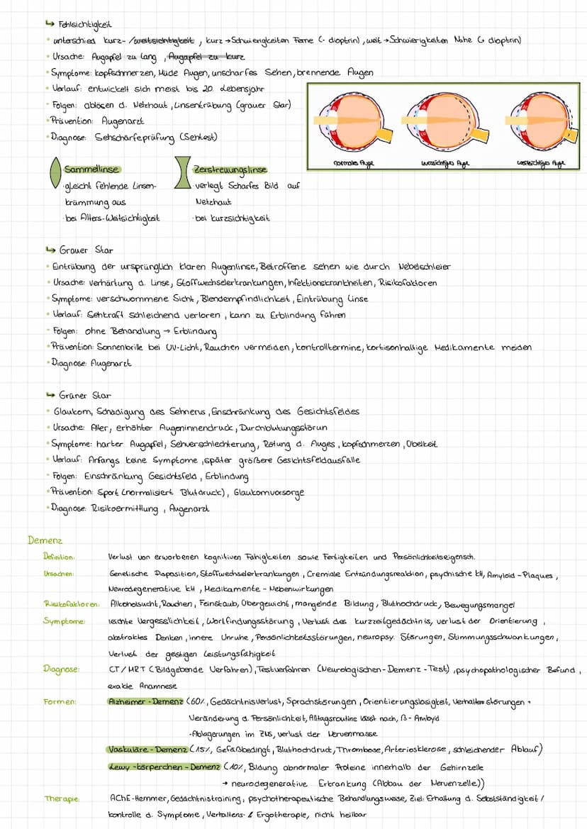 Allgemein:
das Ohr (hōren)
das Auge (sehen)
der Geschmackssinn (schmecken)
die Nase (riechen)
die
Haut (fählen )
. der Gleichgewichtssinn (B