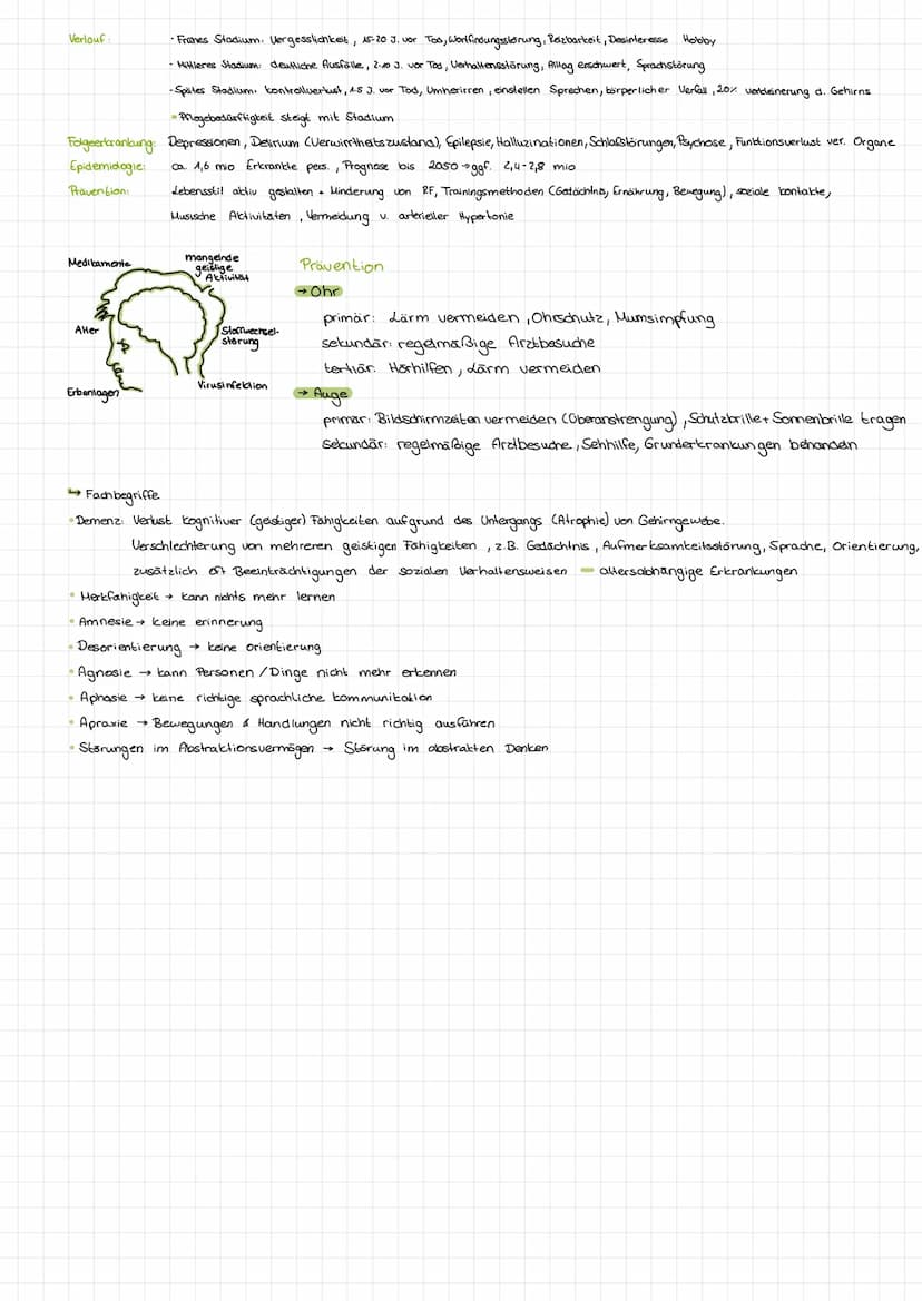 Allgemein:
das Ohr (hōren)
das Auge (sehen)
der Geschmackssinn (schmecken)
die Nase (riechen)
die
Haut (fählen )
. der Gleichgewichtssinn (B