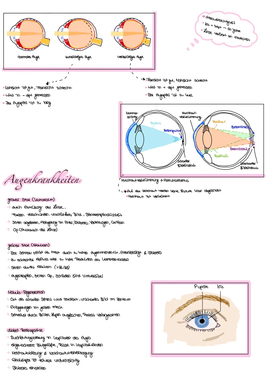 Allgemein:
das Ohr (hōren)
das Auge (sehen)
der Geschmackssinn (schmecken)
die Nase (riechen)
die
Haut (fählen )
. der Gleichgewichtssinn (B