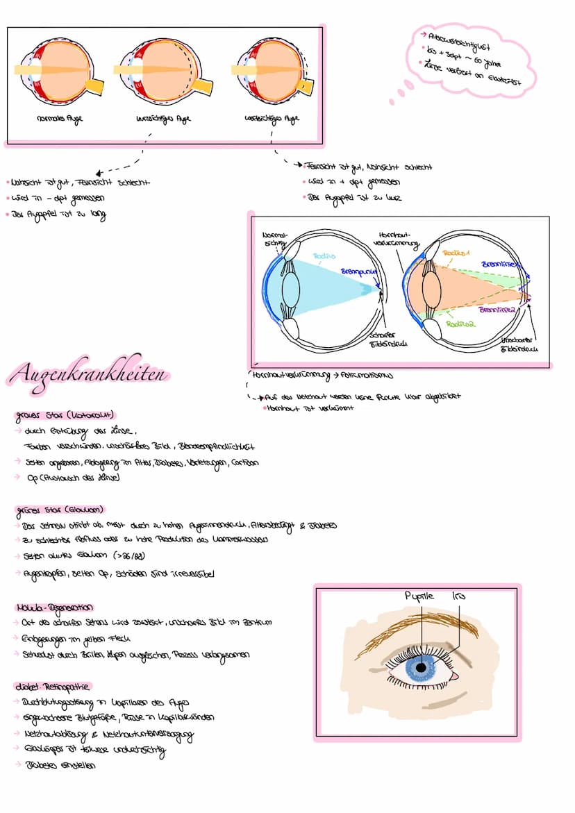Allgemein:
das Ohr (hōren)
das Auge (sehen)
der Geschmackssinn (schmecken)
die Nase (riechen)
die
Haut (fählen )
. der Gleichgewichtssinn (B