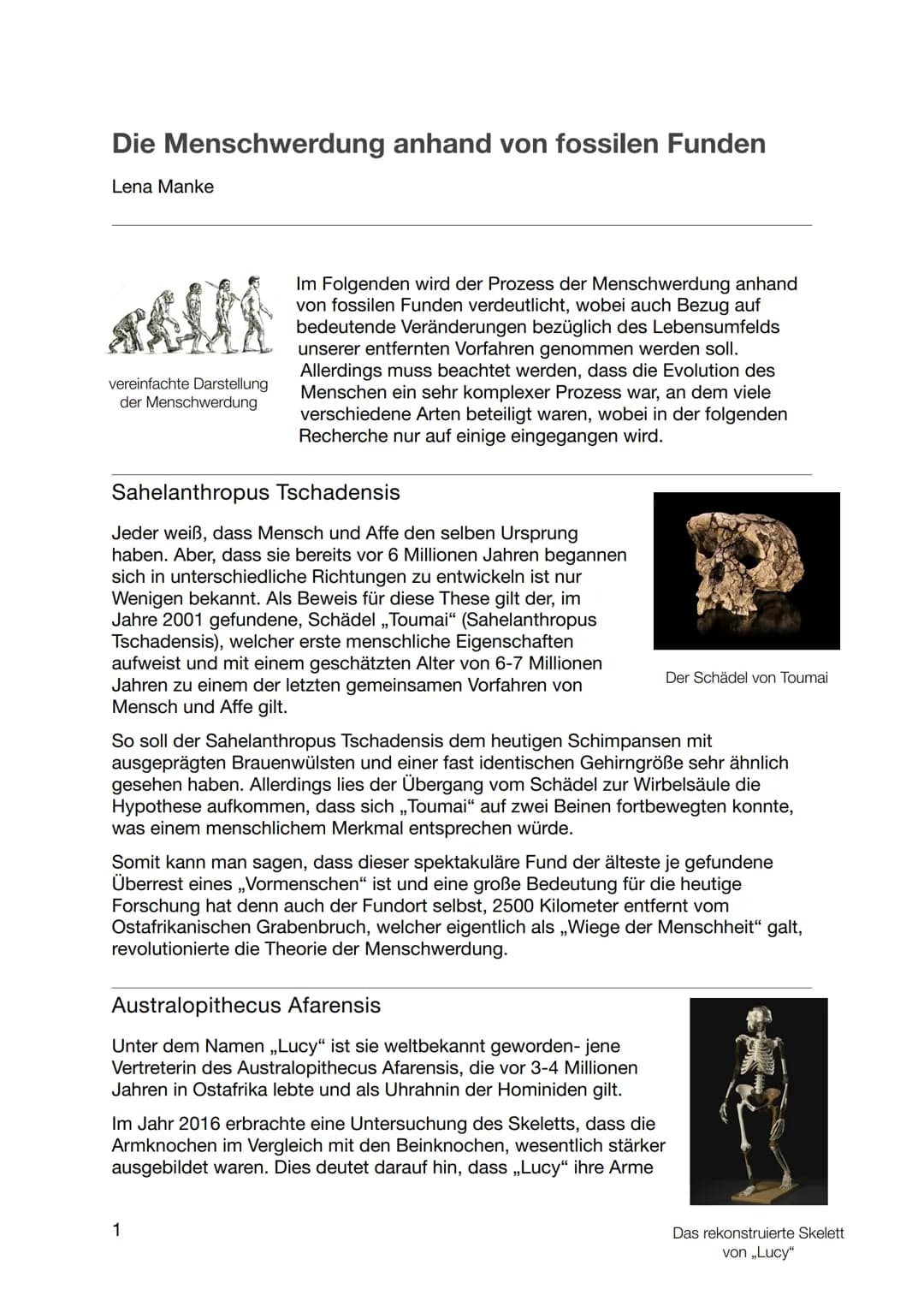 Die Menschwerdung anhand von fossilen Funden
Lena Manke
vereinfachte Darstellung
der Menschwerdung
Im Folgenden wird der Prozess der Menschw