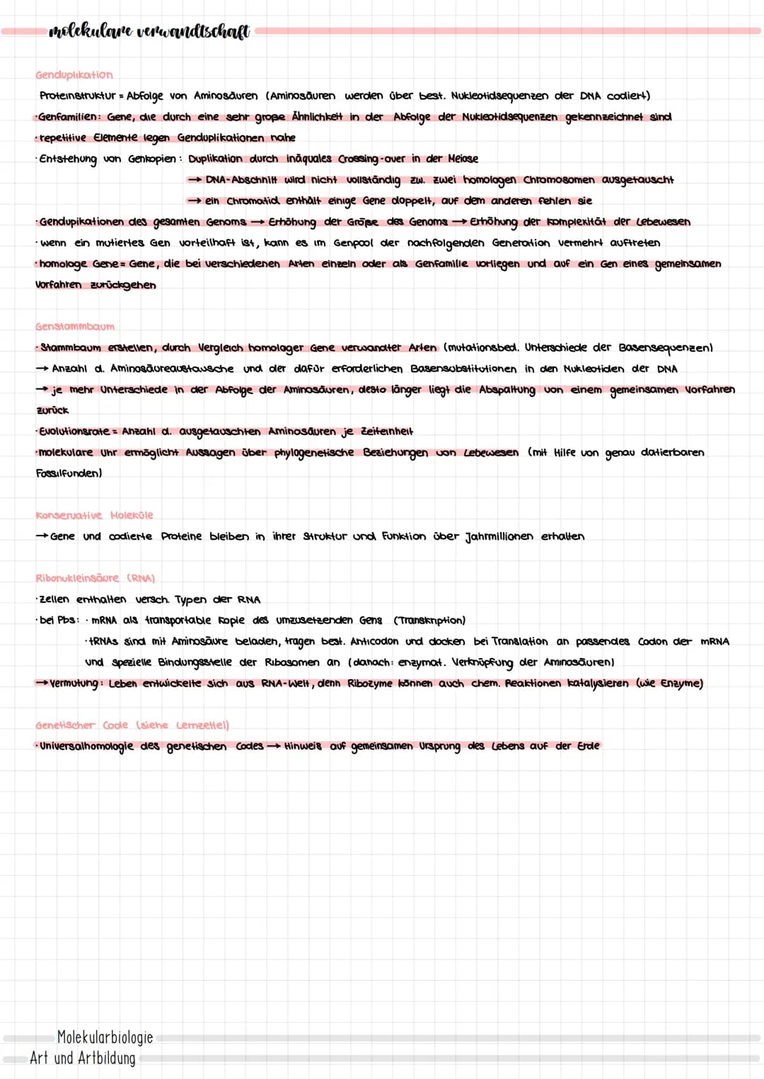 EVOLUTION
der evolutionsgedanke
urzeugungstheorie (Mittelalter):
· Entstehung von Lebewesen aus unbelebter Materie
·alle verschiedenen Lebew