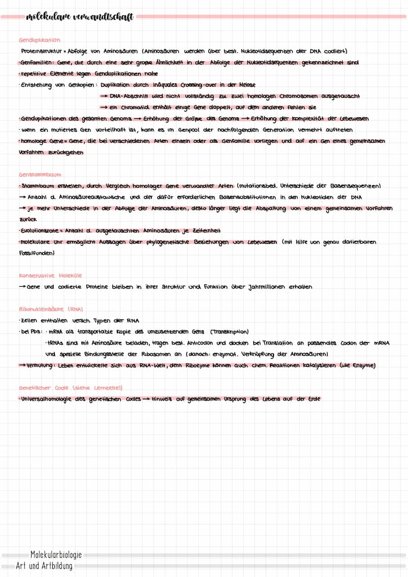 EVOLUTION
der evolutionsgedanke
urzeugungstheorie (Mittelalter):
· Entstehung von Lebewesen aus unbelebter Materie
·alle verschiedenen Lebew