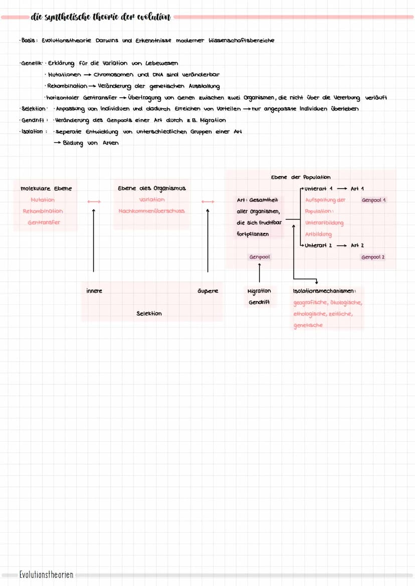 EVOLUTION
der evolutionsgedanke
urzeugungstheorie (Mittelalter):
· Entstehung von Lebewesen aus unbelebter Materie
·alle verschiedenen Lebew