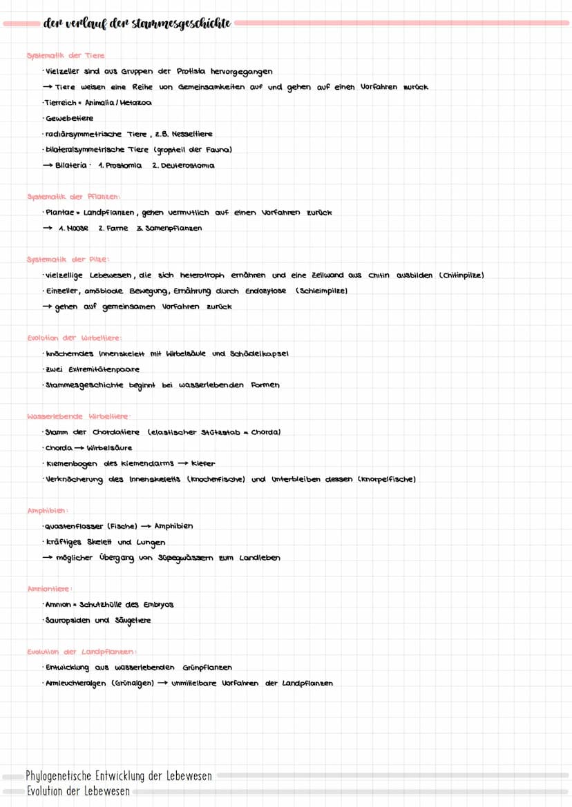 EVOLUTION
der evolutionsgedanke
urzeugungstheorie (Mittelalter):
· Entstehung von Lebewesen aus unbelebter Materie
·alle verschiedenen Lebew