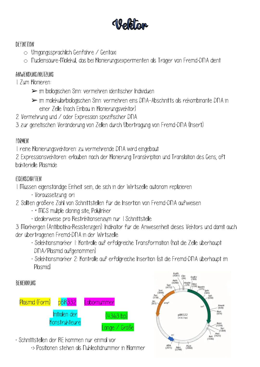 Vektoren Biologie einfach erklärt - DNA Klonierung, Viren und mehr