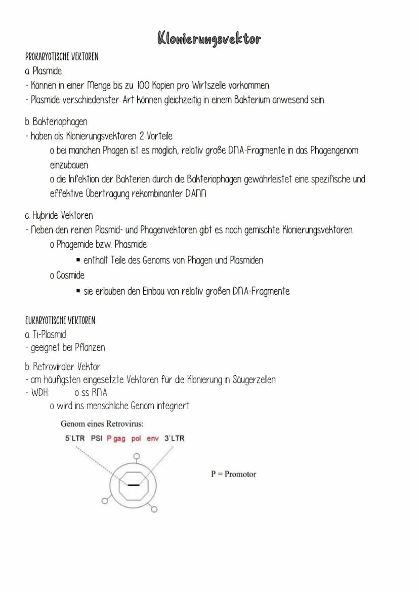 DEFINITION
o Umgangssprachlich Genfähre / Gentaxi
o nucleinsäure-molekül, das bei Klonierungsexperimenten als Träger von Fremd-DNA dient
ANW