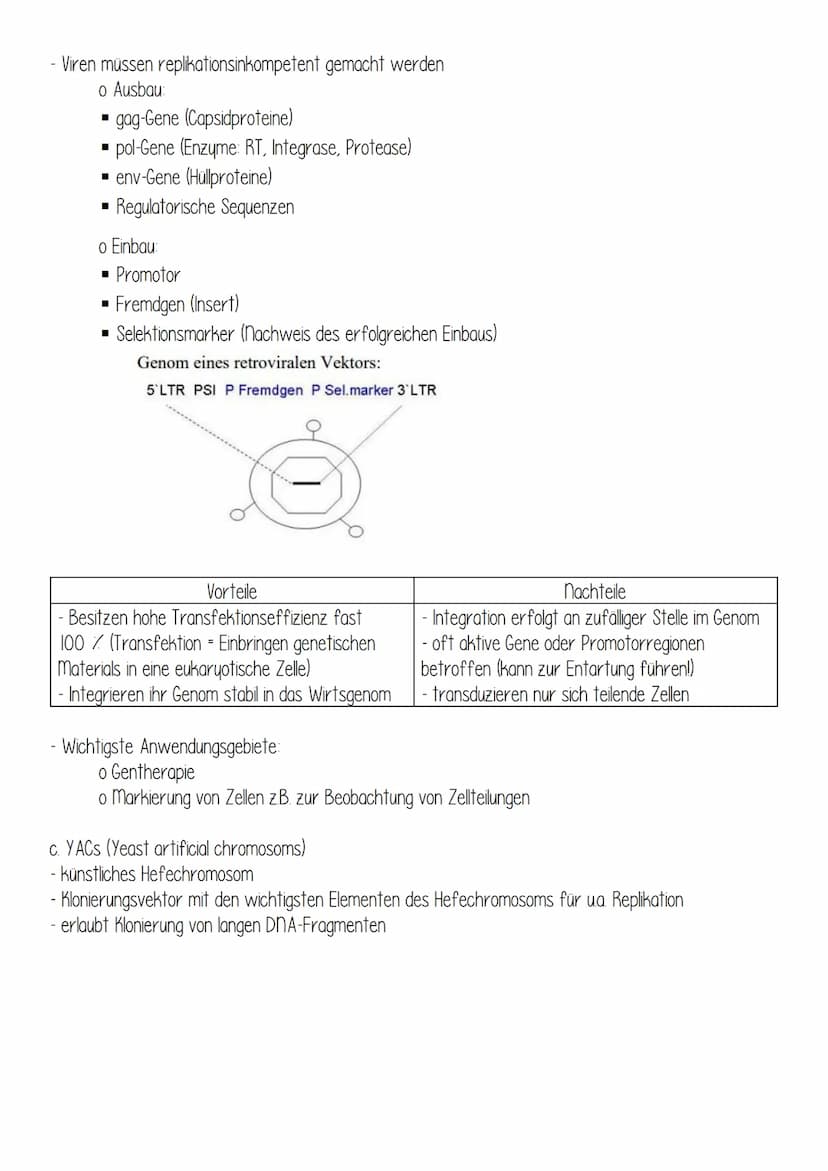 DEFINITION
o Umgangssprachlich Genfähre / Gentaxi
o nucleinsäure-molekül, das bei Klonierungsexperimenten als Träger von Fremd-DNA dient
ANW