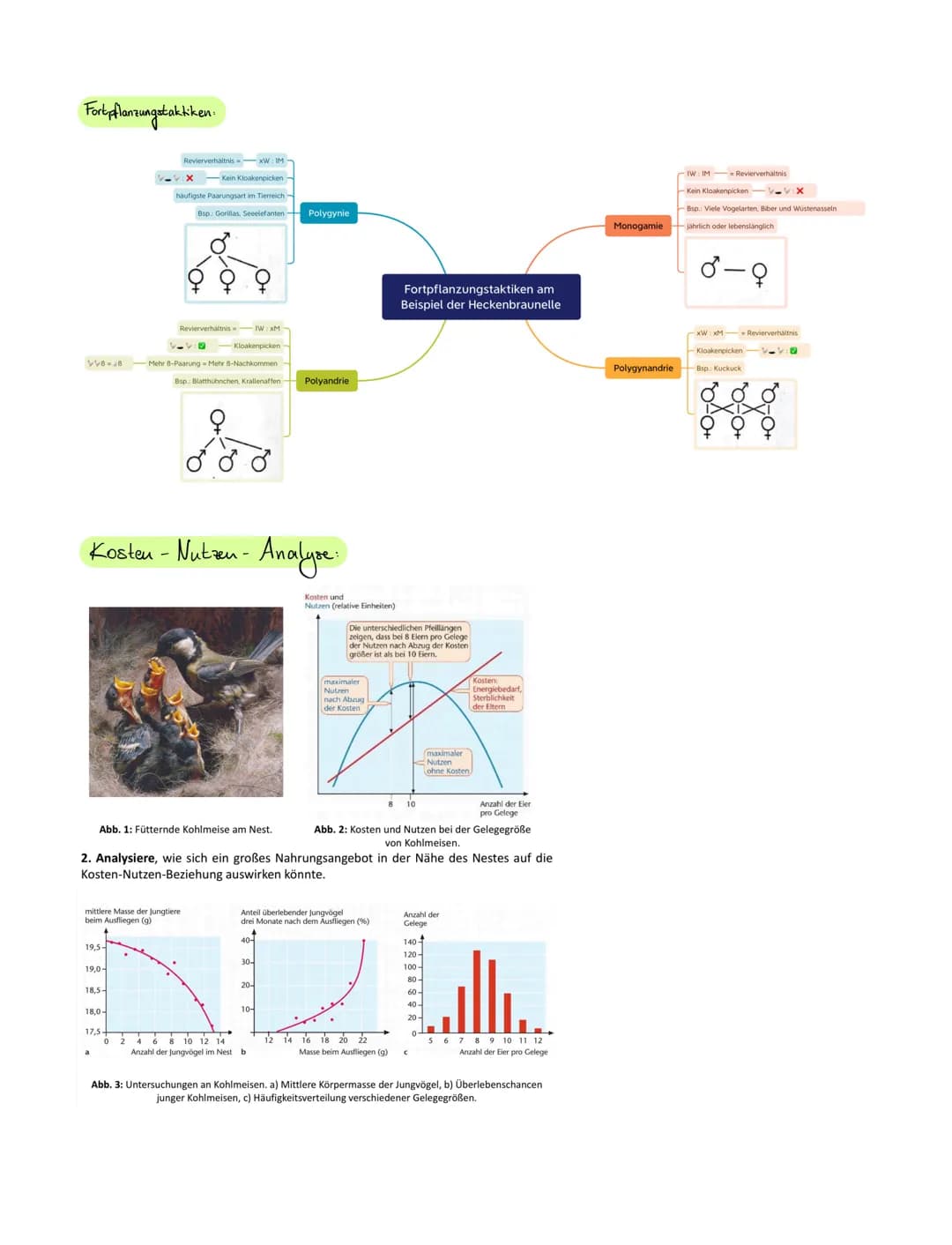 Biologie Fachbegriffe
Begriffe:
Evulution
Population
Anpassung
Phänotyp.
Genotyp
Genpool
Genfrequenz
Allel
Genfluss
Variabilität (overged)
E