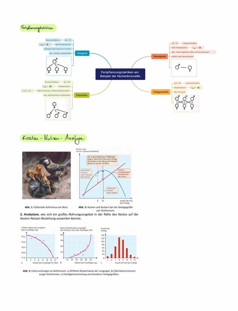 Biologie Fachbegriffe
Begriffe:
Evulution
Population
Anpassung
Phänotyp.
Genotyp
Genpool
Genfrequenz
Allel
Genfluss
Variabilität (overged)
E