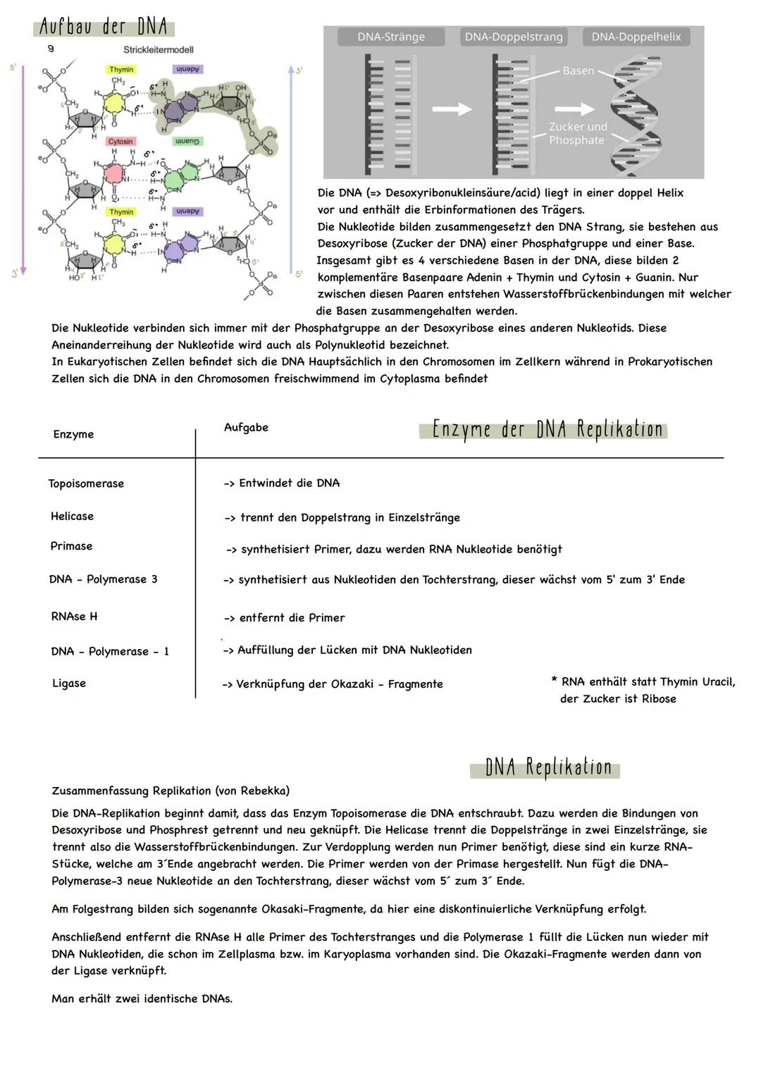 Arbeitsblatt
LK Biologie
Thema: Genetik / Klausurvorbereitung 1. Klausur (25.10.22)
Jahrgangsstufe Q_1_1
Buch: Biosphäre Genetik
Folgende Se