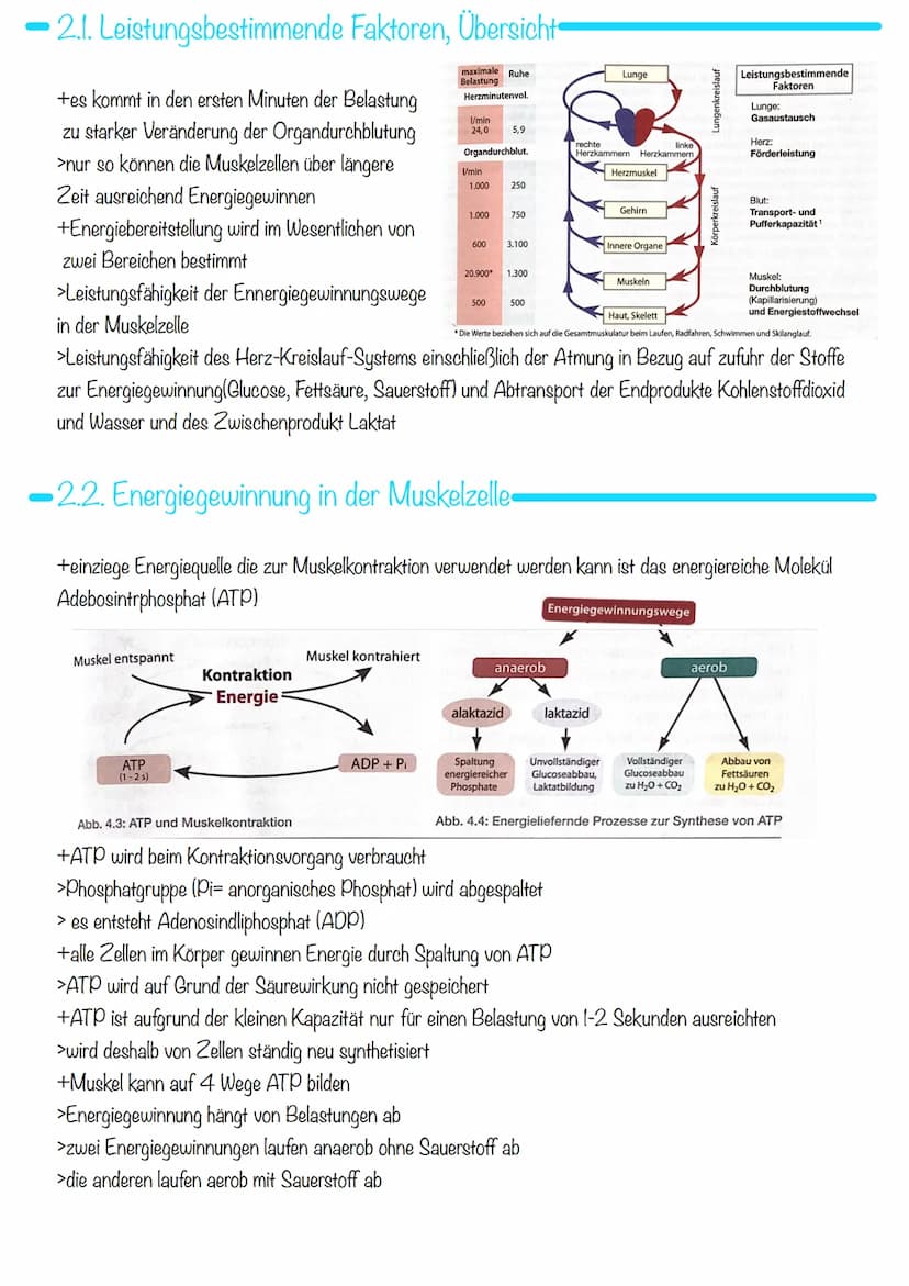 Sport KA 2
Ausdauer
= 1. Bedeutung der Ausdauer
Im Sport und auch allgemein versteht man unter Ausdauer die physische und psychische
Widerst