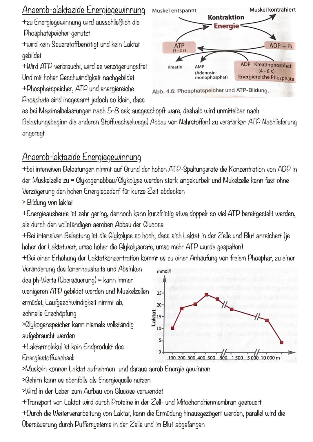 Sport KA 2
Ausdauer
= 1. Bedeutung der Ausdauer
Im Sport und auch allgemein versteht man unter Ausdauer die physische und psychische
Widerst