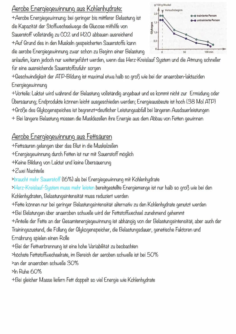 Sport KA 2
Ausdauer
= 1. Bedeutung der Ausdauer
Im Sport und auch allgemein versteht man unter Ausdauer die physische und psychische
Widerst