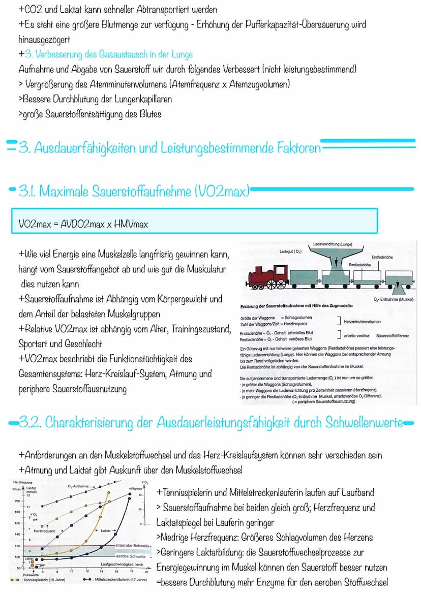 Sport KA 2
Ausdauer
= 1. Bedeutung der Ausdauer
Im Sport und auch allgemein versteht man unter Ausdauer die physische und psychische
Widerst