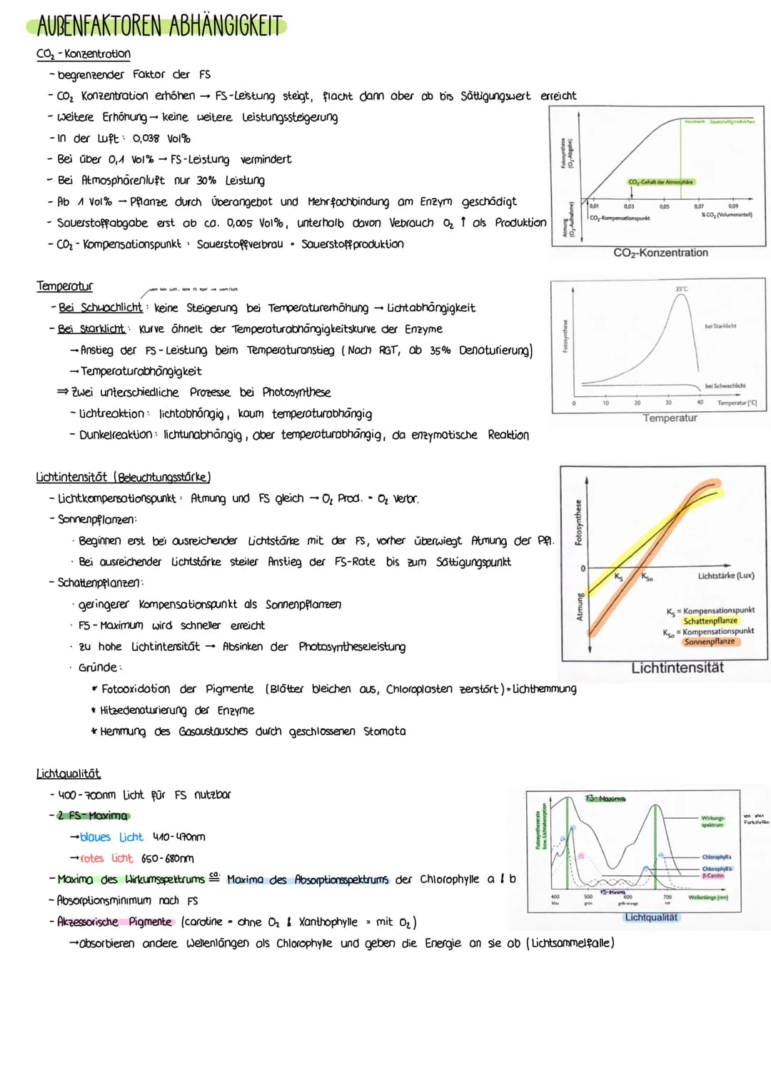 PHOTOSYNTHESE
AUFBAU LAUBBLATT
a Epidermis
b
Cuticula
C Leitbündel
d Palisadengewebe
e Zellzwischenroume
Aufbau eines Laubblattes
i.d. R. ei