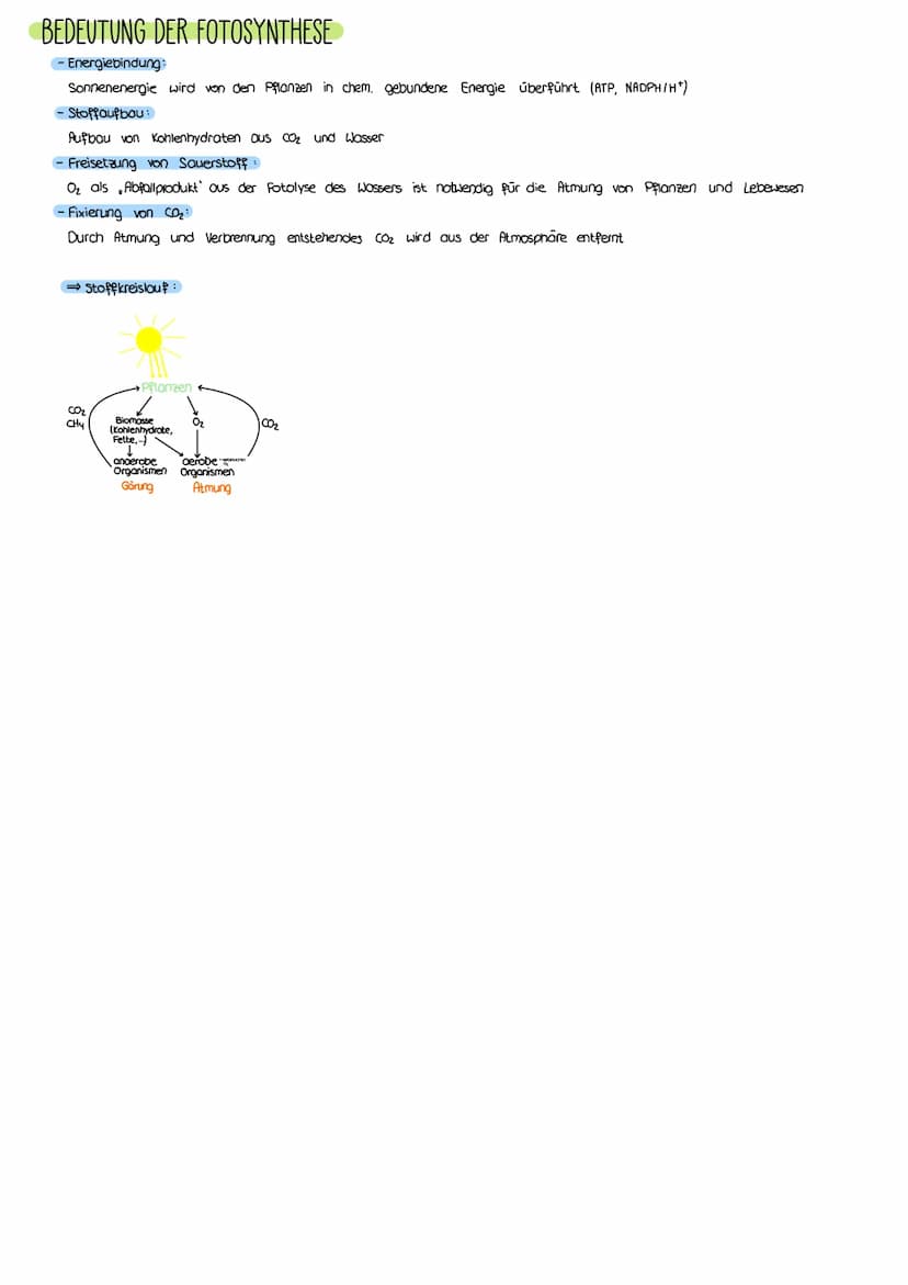 PHOTOSYNTHESE
AUFBAU LAUBBLATT
a Epidermis
b
Cuticula
C Leitbündel
d Palisadengewebe
e Zellzwischenroume
Aufbau eines Laubblattes
i.d. R. ei